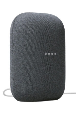 Google Nest Audio