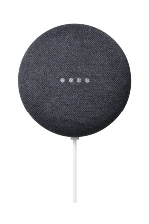 Google Nest Mini